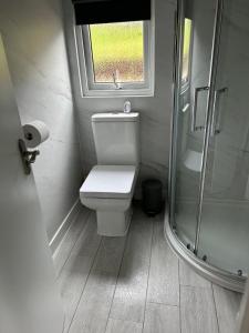 a small bathroom with a toilet and a window at Lakeview Lodge, Builth Wells (pet friendly) in Builth Wells