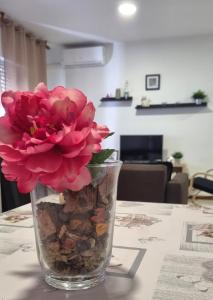 Fotografie z fotogalerie ubytování Apartamento Cayetano v destinaci Rota