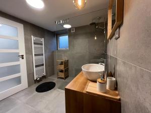 Koupelna v ubytování Apartmán Hamerka + 37 fotografií