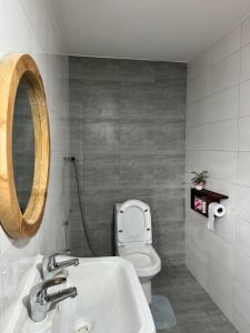 a bathroom with a toilet and a sink and a mirror at Njombe Cozy House in Njombe +7 photos