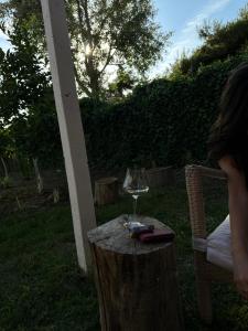 a glass of wine sitting on top of a tree stump at Sunny Rentals in Vlorë +11 photos