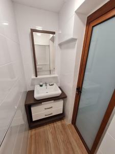 La salle de bains est pourvue d'un lavabo et d'un miroir. dans l'établissement Apartmani Dalex, à Budva