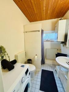 y baño con aseo y lavamanos. en Ferienhaus Usedom Familie Stopp Haus 24 en Lütow