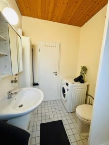 y baño con lavabo, aseo y lavadora. en Ferienhaus Usedom Familie Stopp Haus 24 en Lütow