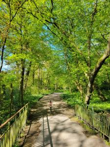 a path in a park with trees and a fence at Ferienwohnungen am Park in Wilhelmshaven