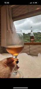 a person holding a glass of wine in front of a window at Chalé Pinheiros da Mantiqueira in Camanducaia