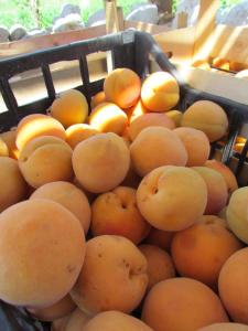 Φαγητό σε αυτός ο ξενώνας ή κάπου εκεί κοντά