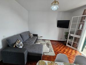 uma sala de estar com um sofá cinzento e uma televisão em Casa a Torre em Santa Cruz - Madeira