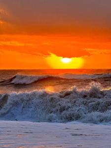 Природа в окрестностях апартаментов/квартиры