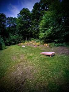un banco de parque sentado en un campo con árboles en Iron Gate Chalet - 5 Minutes to Smugglers Notch! en Cambridge