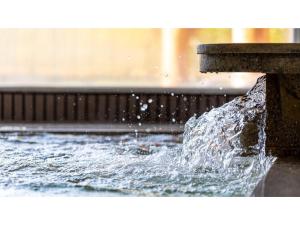 Photo de la galerie de l'établissement Horoshin Onsen Hotaru Kan - Vacation STAY 82949v, à Shisennosawa