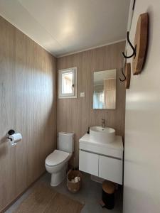 Un baño con inodoro, lavabo y espejo. en Green Lodge, en Perros-Guirec 3 fotos más