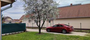a red car parked next to a tree at Limonádé Apartman AC Agárd Élményfürdő mellett in Gárdony +42 photos