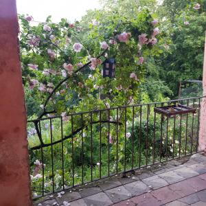 Κήπος έξω από το Appartamento nel Verde