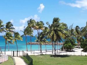uma vista para uma praia com palmeiras e para o oceano em Marisol les pieds dans l eau em Le Gosier