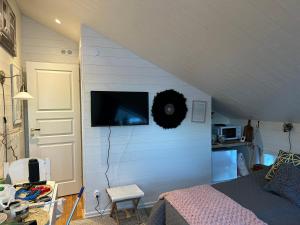 een woonkamer met een bed en een tv aan de muur bij Annas B&B in Järvsö