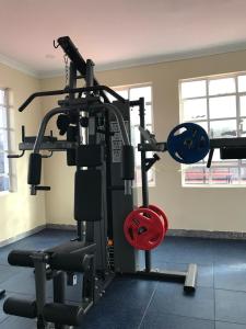 a room with a gym with a treadmill and weights at JnB 2Bedroom Nakuru Naka Estate in Nakuru +3 photos