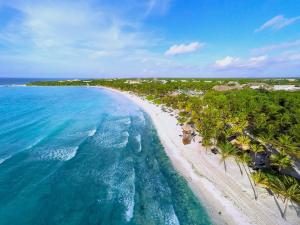 an aerial view of a beach with palm trees and the ocean at TRS Yucatan Hotel - Adults Only in Akumal
