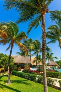 TRS Yucatan Hotel - Adults Only في أكومال: مجموعة من أشجار النخيل أمام المنتجع