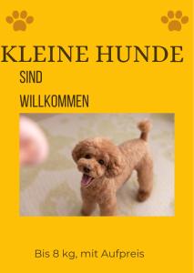 un piccolo cane bruno che corre con la lingua fuori di Gemütliche Wohnung am Bodensee a Markdorf