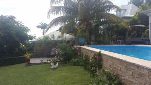 Bassein majutusasutuses Studio cosy avec vue sur mer à Case-Pilote, 21 m², piscine või selle lähedal