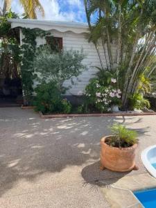 Aed väljaspool majutusasutust Studio cosy avec vue sur mer à Case-Pilote, 21 m², piscine