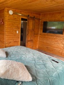 TV a/nebo společenská místnost v ubytování Glamping Los Hayuelos