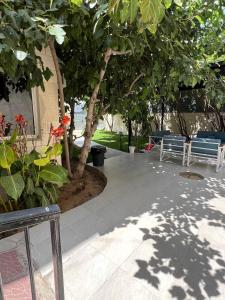 Kebun di luar فيلا اورنيلا