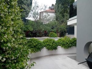 un jardín con plantas verdes en una pared blanca en Villa Maboka en Zadar