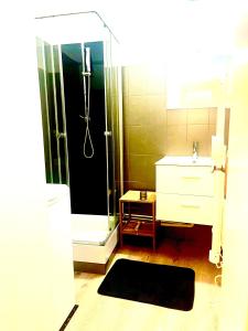 a bathroom with a shower and a sink and a shower at Appartement avec terrasse au coeur d'Aurillac in Aurillac