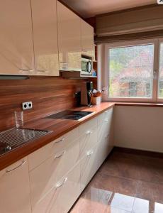 Kuchyň nebo kuchyňský kout v ubytování Sonnig zentral gelegene Wohnung
