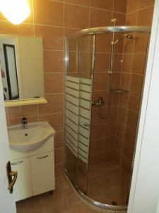 a bathroom with a shower and a sink at Apartments Makjanić in Jelsa
