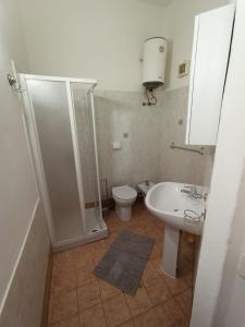 a bathroom with a shower and a toilet and a sink at Casa del Papavero in Piombino