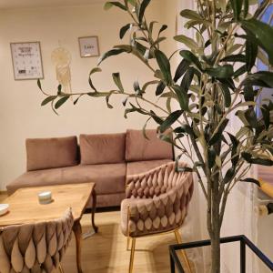 ein Wohnzimmer mit einem Sofa, einem Tisch und einem Baum in der Unterkunft Apartamenty Magvel Szczecin in Stettin