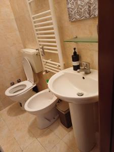 a bathroom with a toilet and a sink at Locazione turistica Ani in Novara