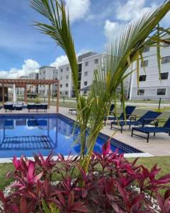 a swimming pool with a palm tree in front of a building at Studio Garden 03 in Caruaru