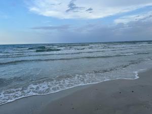 Gallery image of Appartement des Jasmis in El Kouache