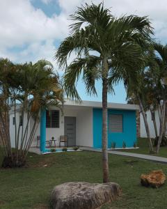 a palm tree in front of a house at Villas Boqueyé in Cabo Rojo