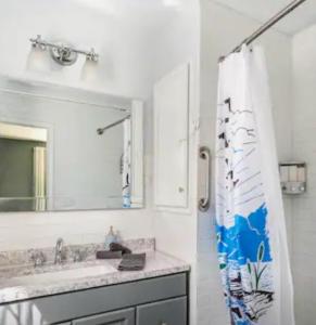 La salle de bains est pourvue d'un lavabo et d'un rideau de douche. dans l'établissement Lake Texoma Shoreline Cottage sleeps 8, à Pottsboro