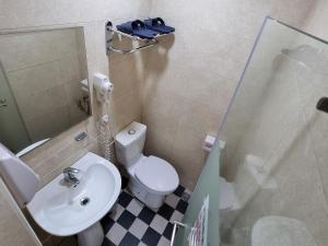 Peacock hotel في داكسي: حمام صغير مع مرحاض ومغسلة