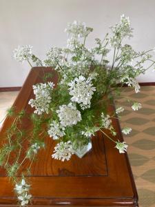 a vase filled with white flowers on a table at Children's cafe B&B Kimie in Kamakura