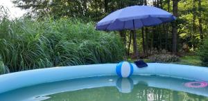 una piscina azul con una sombrilla en el agua en Eko Panorama Okolice Nałęczów, en Tomaszowice