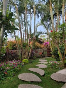 小琉球的住宿－小琉球寄居蟹民宿，棕榈树和鲜花花园中的一条小径