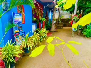 ein Zimmer voller Pflanzen und einer blauen Wand in der Unterkunft Hema Holiday Villa in Trincomalee