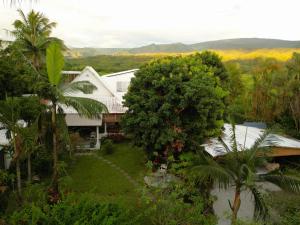an aerial view of a house with trees at LE MEDINILLA in Bras-Panon