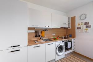 a kitchen with a sink and a washing machine at BoReal Apartments in Paradiso