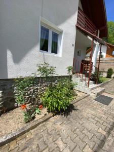 a house with some flowers in front of it at Casa Micul Arin in Sovata