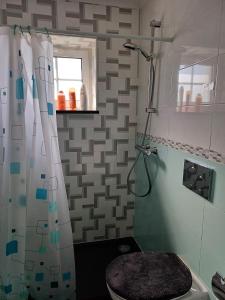 a bathroom with a shower and a toilet at Suite Room Sofia's Happy House - Almodôvar Ourique Room 1 in Aldeia dos Fernandes