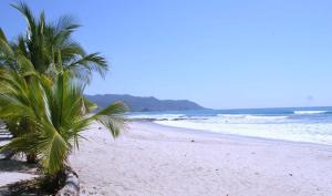 una playa con dos palmeras y el océano en Plaza Royal Apartments, en Santa Teresa Beach