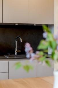 - un évier de cuisine avec un robinet et une plante dans l'établissement Haus Widmann, à Fieberbrunn